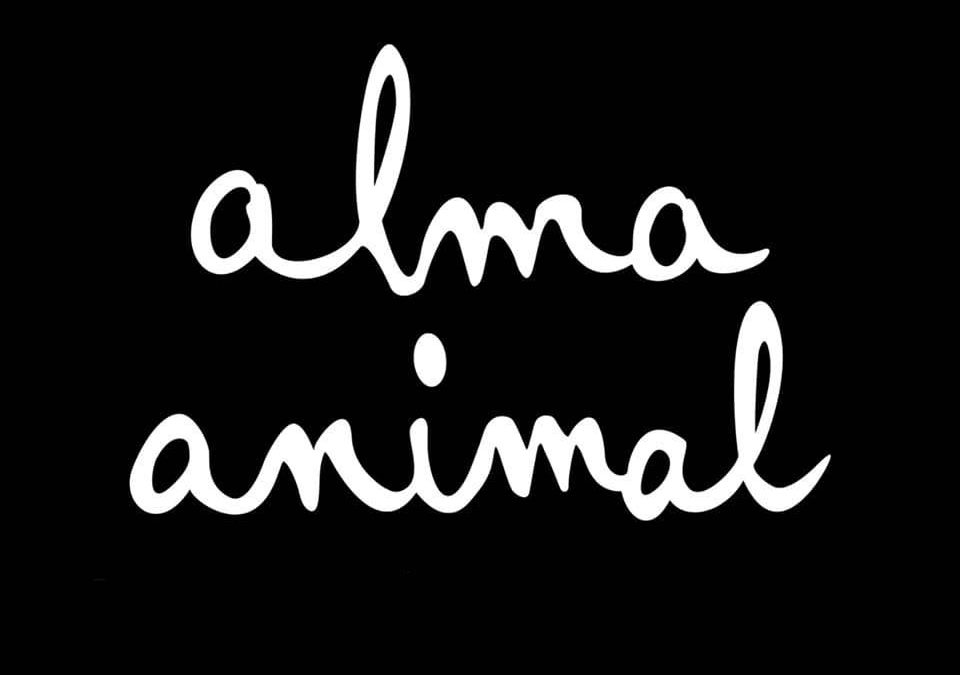 Alma Animal Peluquería Canina